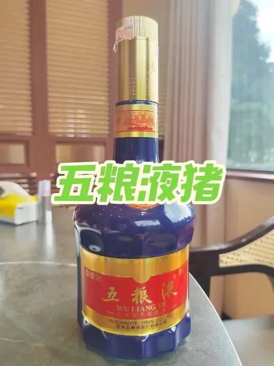 爬白云山饮2019年五粮液生肖猪。#随拍 #抖音美食推荐官 #同城美食 #白酒 #品酒品人生