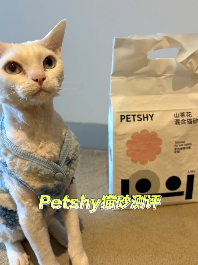 🐱🇦🇺貓砂測評：淡雅花香・天然成份・潔淨力出色｜
🌸
近期為家中的貓咪更換了一款新貓砂，整體使用感相當理想。首先，香味方面採用了沙茶花香氣，氣味清淡柔和🌼，不會過於刺鼻或人工化，僅帶有淡淡的清香，令人