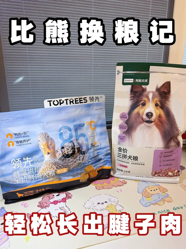 比熊换粮推荐!吃出结实腱子肉
