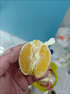 我的双11战绩，开箱！ 赣南脐橙上市啦