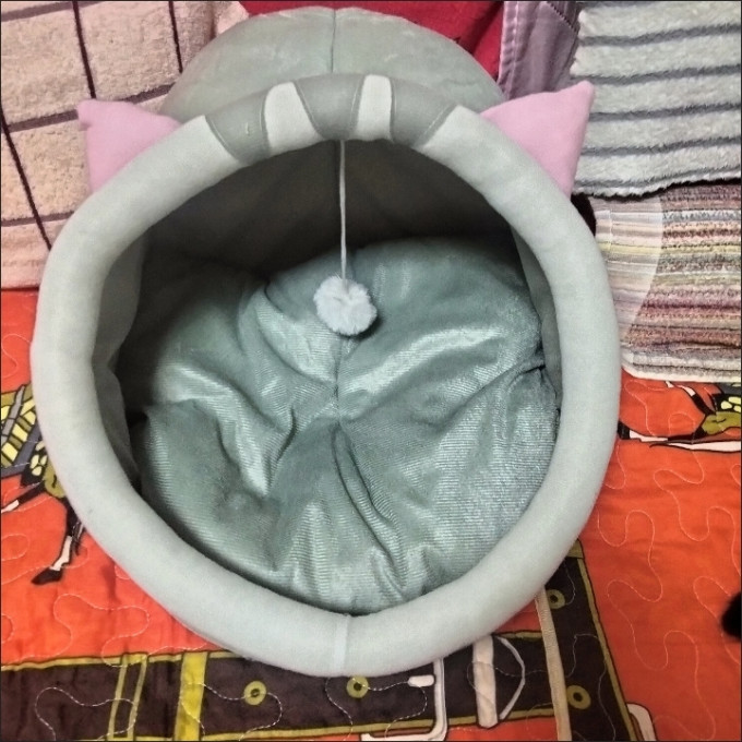 猫狗窝