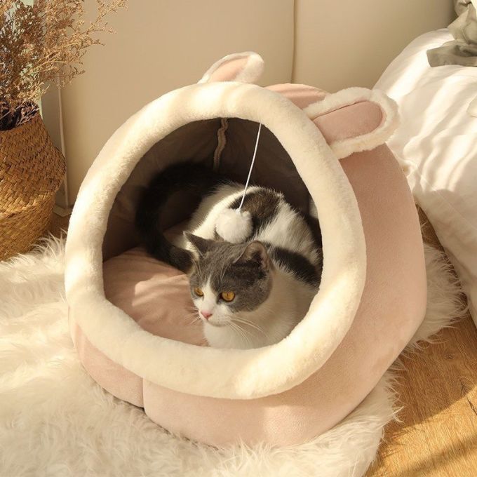 猫狗窝