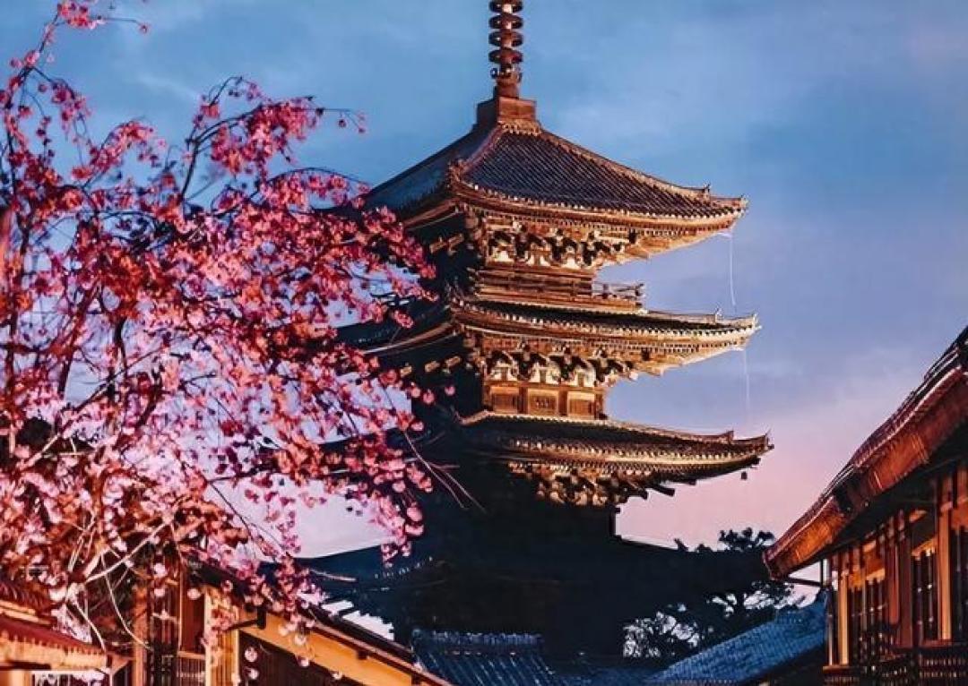 涉台风波引爆中国退订潮 日本旅游复苏被迫暂停键