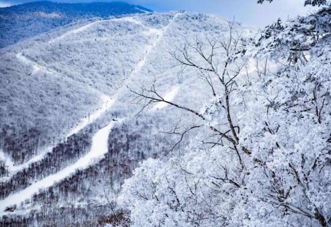 漂洋过海不如滑吉林:黄金纬度粉雪天堂,雪场多元任你挑