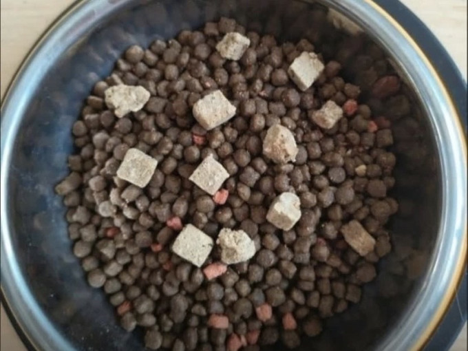 麦富迪猫咪干粮