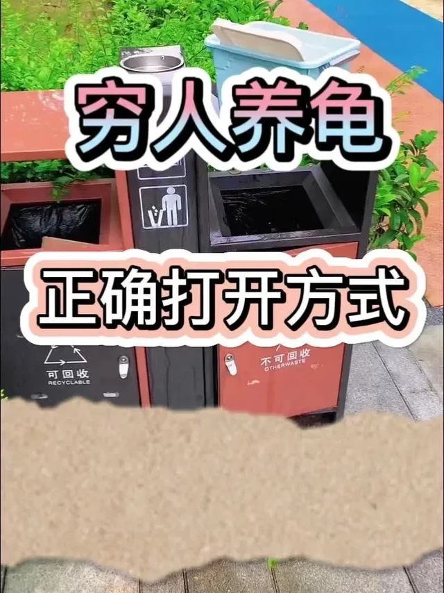 🐢穷人版龟缸造景教程。🎈今天给大家分享一下如何用收纳箱、野生蕨、野生苔藓、天胡荽等垃圾堆“捡漏”，打造一个适合穷人的龟缸造景。 
🎈首先，我们用收纳箱围成一个游泳池，再把植物种植区搞起来，使用不完的滤