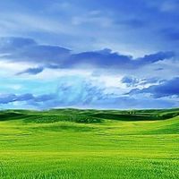 儿童安全座椅品牌选购指南：核心优劣势全解析