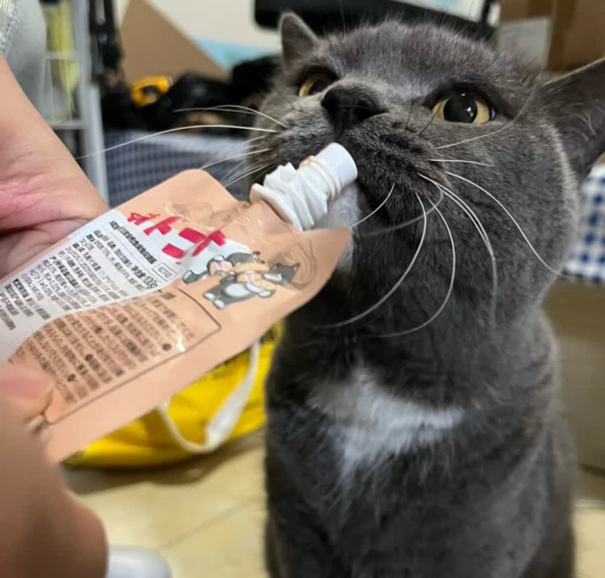 猫咪零食罐/妙鲜包