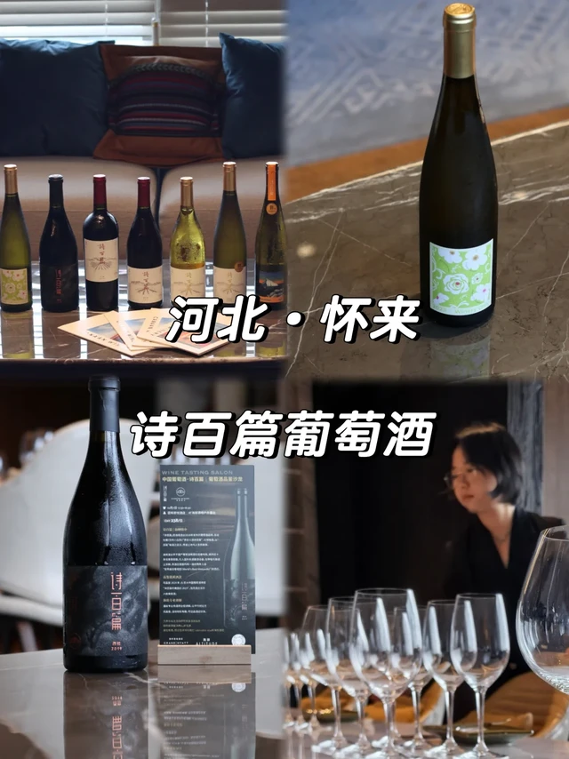 河北迦南🍷｜解锁诗百篇的优雅与力量