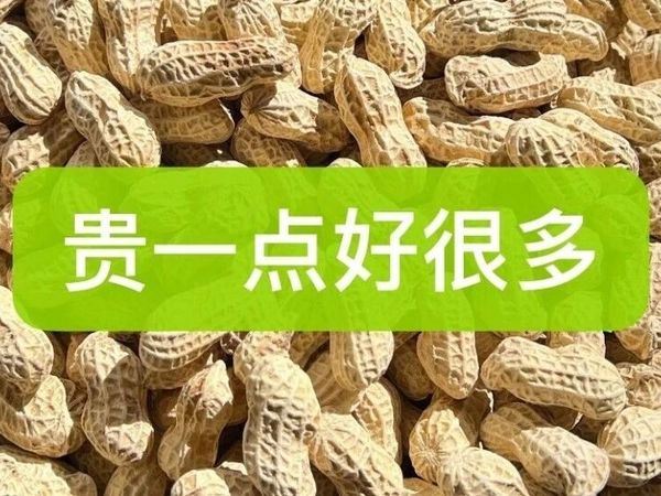 龙岩地标花生~贵一点好很多