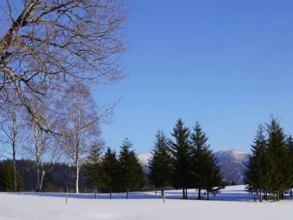 温酒赏冬 | 蓝海红程四国名庄葡萄酒的暖心之旅。