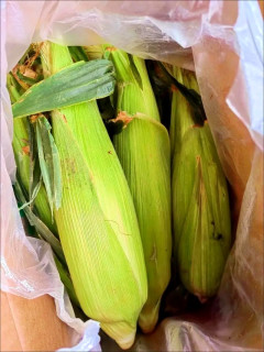 我的双11美食大赏 ，清甜多汁云南金银水果玉米 