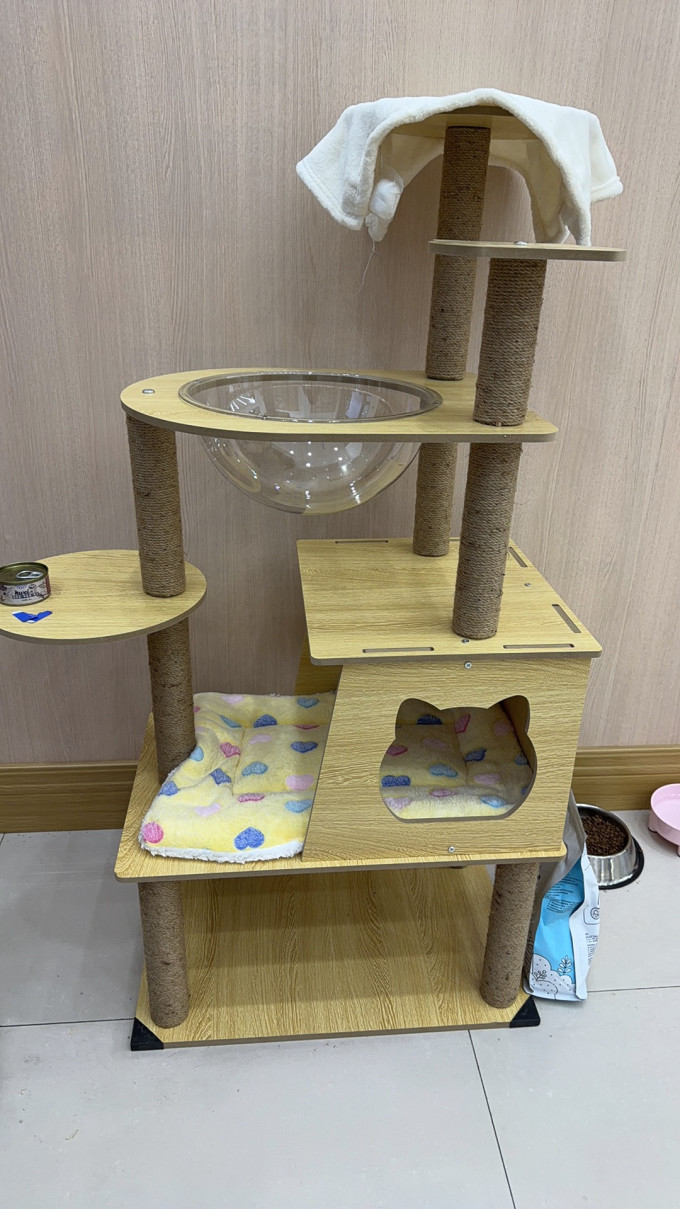 猫玩具