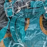 茨格曼狗绳胸背带：遛狗不再难