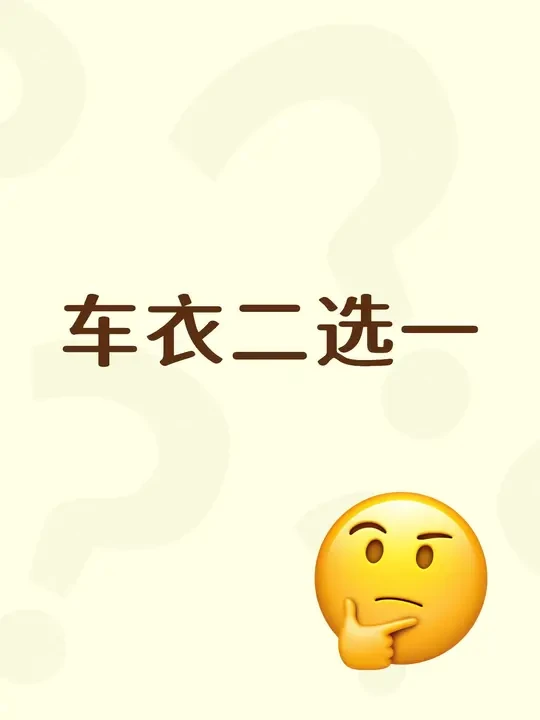 车衣二选一