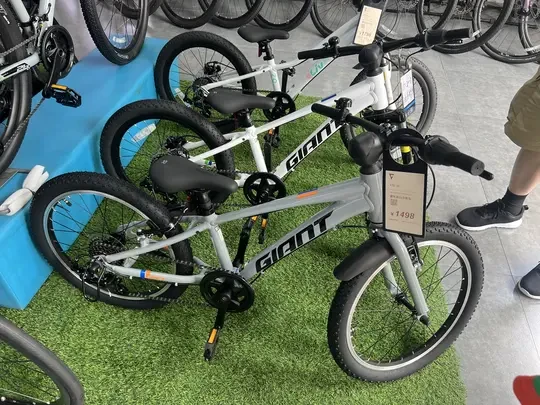 捷安特还是喜德盛，自行车选哪个好呢