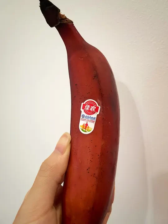 红皮香蕉尝个鲜🍌💥