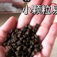 92%高含肉量牛肉猫粮推荐
