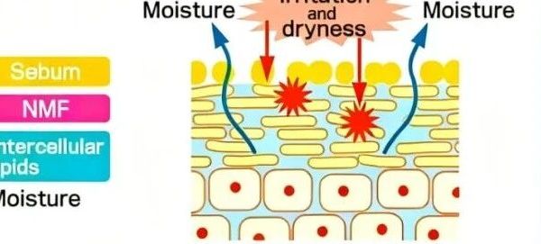 作（zuo）成敏感肌怎么正确护肤？