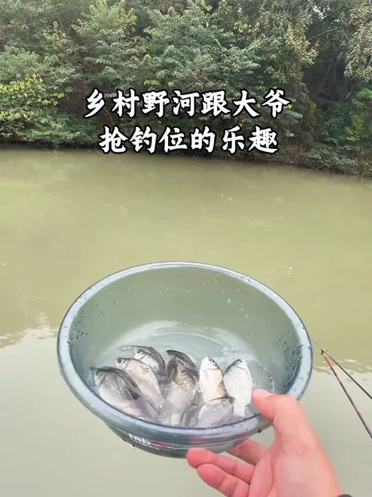 跟大爷抢钓位就是爽#钓鱼 #钓鱼人就是这么疯狂 #民间艺人芦苇漂 #LB芦苇漂性价比天花板 #沃鼎王者神剑三代