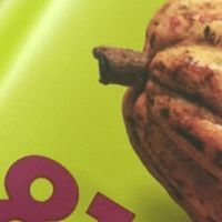 德国黑巧，口感丝滑层次丰富