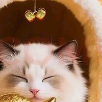 贝初众封闭式猫屋：温暖安全的冬日港湾