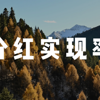 看底色，“老六家”红利实现率，30%以下占比最高的是？