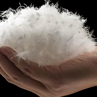 低价羽绒服等于假货？胖东来256元真羽绒服引全网观点大PK