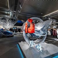 品牌羽绒服 vs 白牌羽绒服：谁更值得信赖？1200+用户真实观点大碰撞