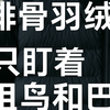 别再看始祖鸟了！这4件排骨羽绒服更香，最低百元级，保暖不撞衫