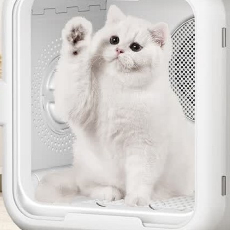 解放双手的吹毛神器，猫咪狗狗都不抗拒