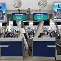 机票价格会因频繁搜索上涨吗？1800+用户观点大PK