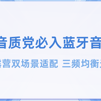 2025蓝牙音响推荐 居家露营场景适配 三频均衡无杂音沉浸听感拉满