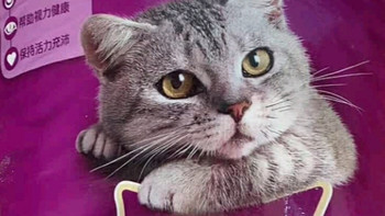 伟嘉猫粮10kg海洋鱼味全价粮