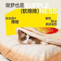 FOFOS两只福狸吐司窝测评：我家毛孩子的冬季续命神器！