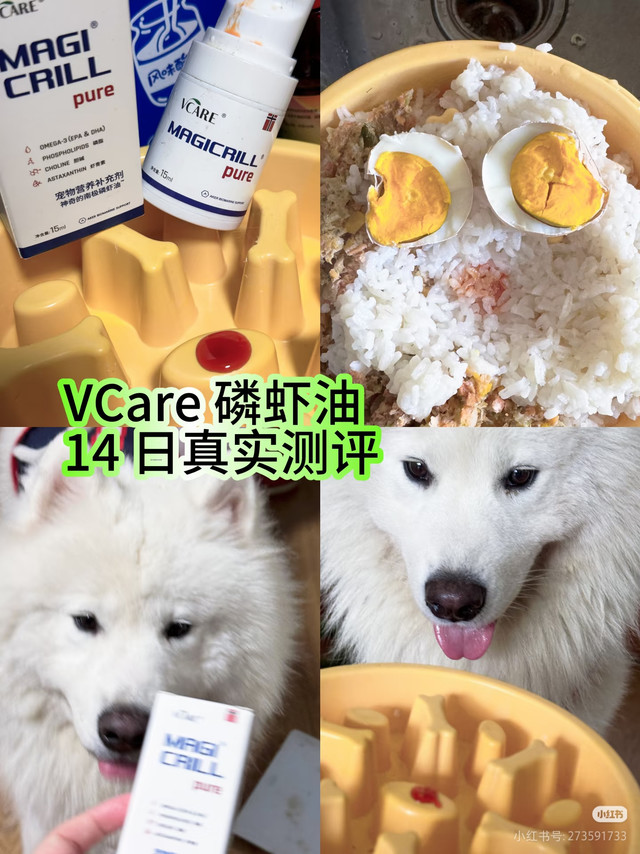 萤火虫：一觉醒来天塌了！