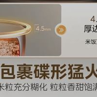 4L抗菌电饭煲适合3-4人家庭