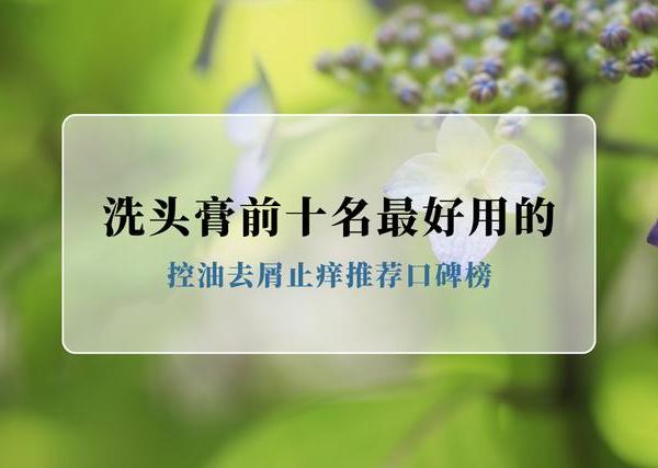 2025公认洗头膏前十名最好用的洗发水，控油去屑止痒推荐口碑榜