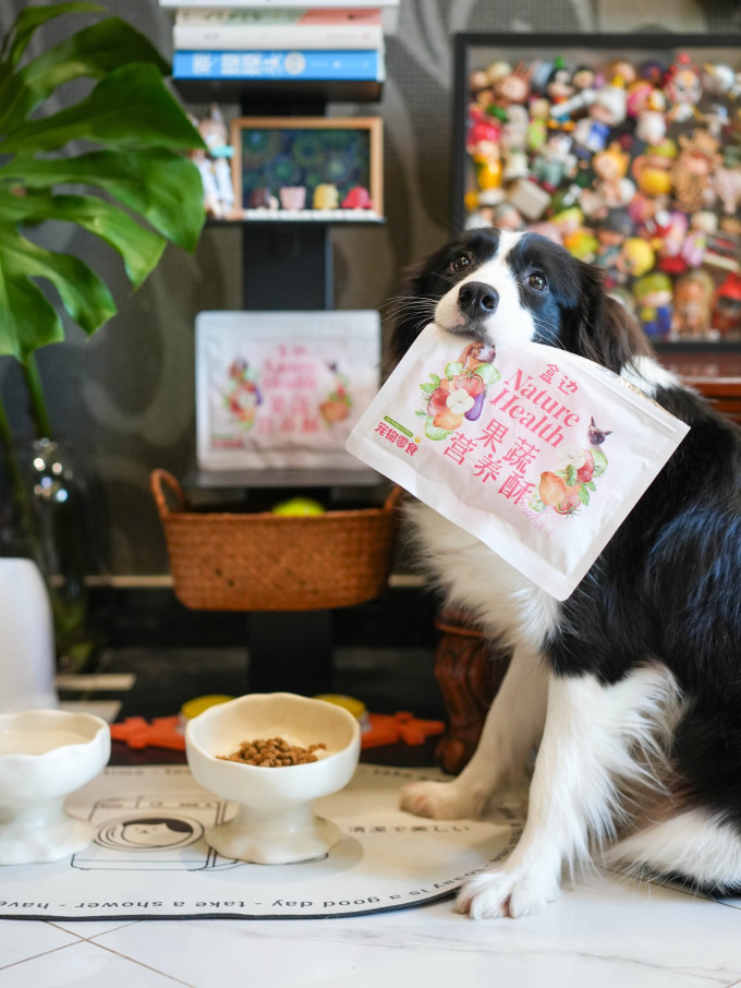 宠物零食