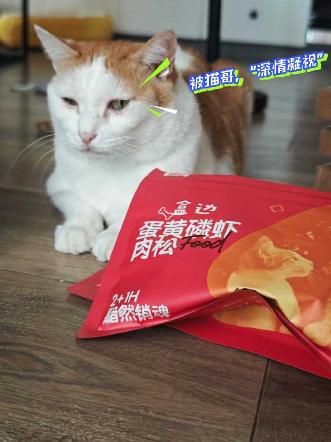 宠物零食