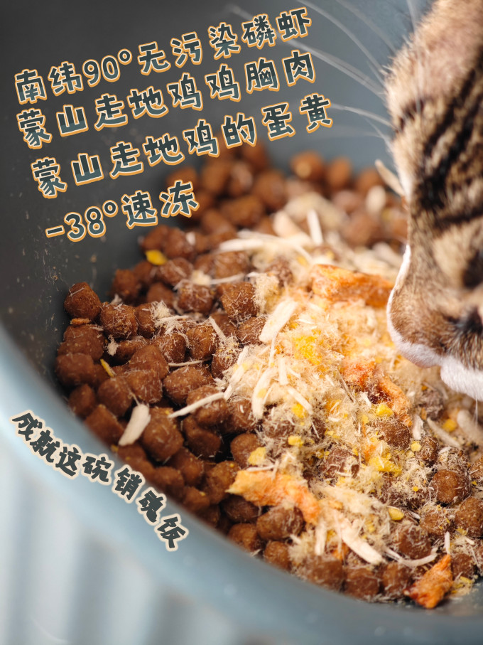 宠物零食