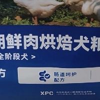 双十一养宠囤粮刚需！艾尔低温烘焙狗粮全犬适配超惊艳