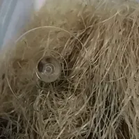 厨房收纳封神！安扣密封罐让杂粮告别乱糟糟