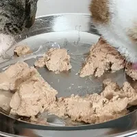 双 11 性价比之选！小壳排毛罐 “一机多能” 超省心​