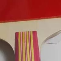 红双喜乒乓球拍：百元价位的全能运动好物