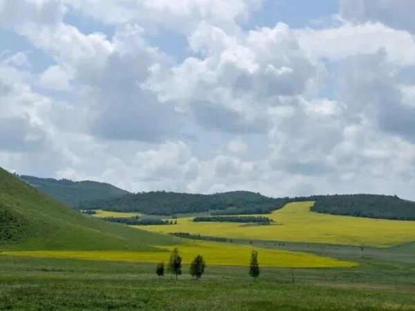 16部高分中国地理纪录片推荐，带孩子“走遍”祖国大好河山
