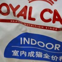 专为室内老年猫设计，皇家S27的贴心守护