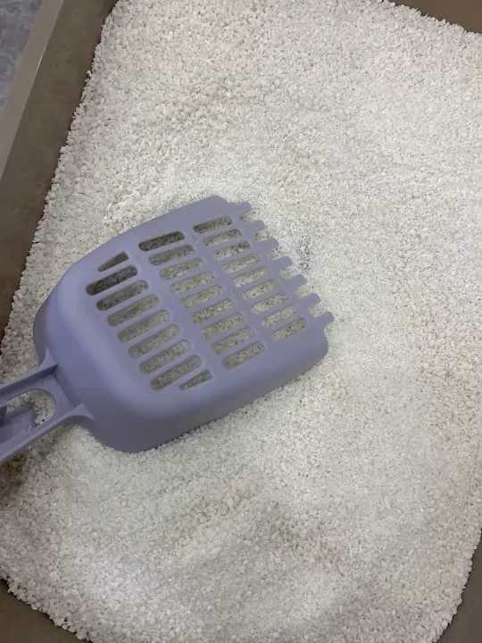 他不一样