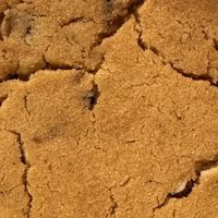 泸溪河桃酥：百年传承的酥香经典，中式糕点的“国潮顶流”