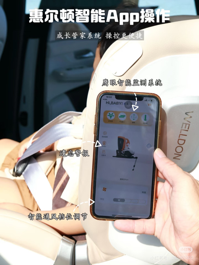 惠尔顿安全座椅
